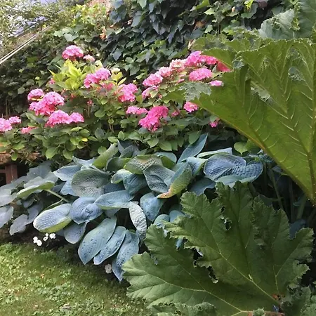 Cote Jardin, D'hotes * Le Pont-de-Beauvoisin